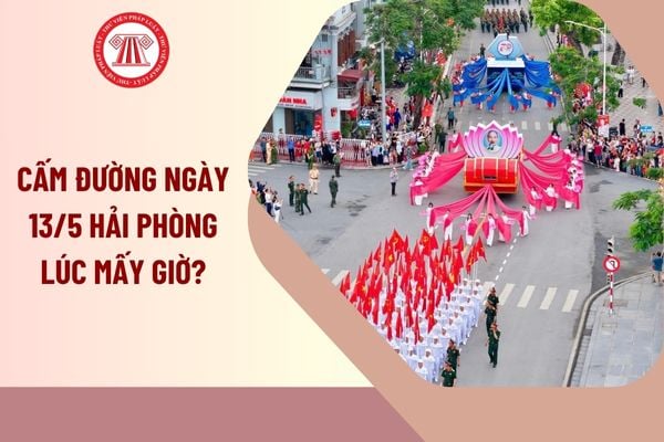Pháp luật