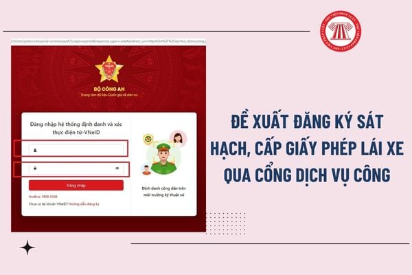 Pháp luật