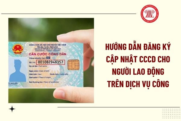Pháp luật