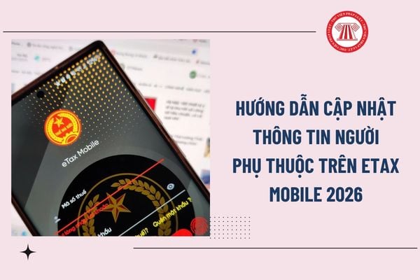 Pháp luật