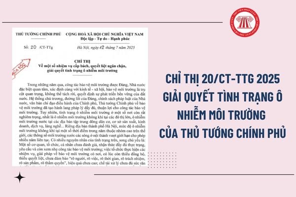 Pháp luật