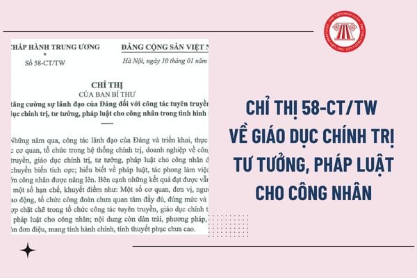 Pháp luật