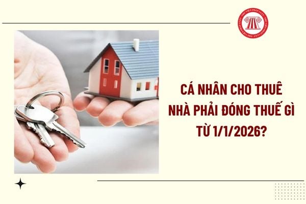 Cá nhân cho thuê nhà phải đóng thuế gì từ 1/1/2026? Quy định mới về thuế cho thuê nhà 2026 ra sao?