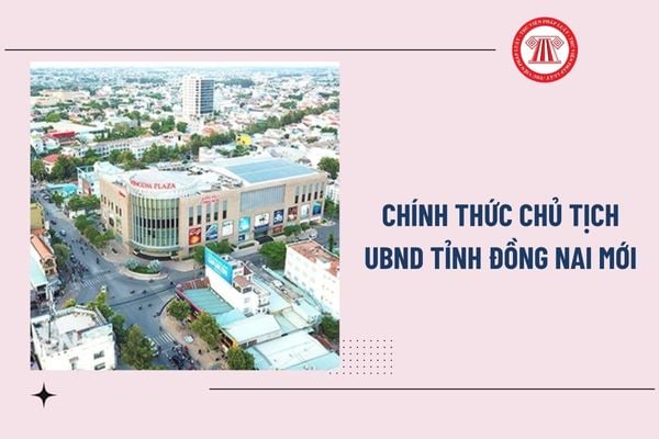 Pháp luật