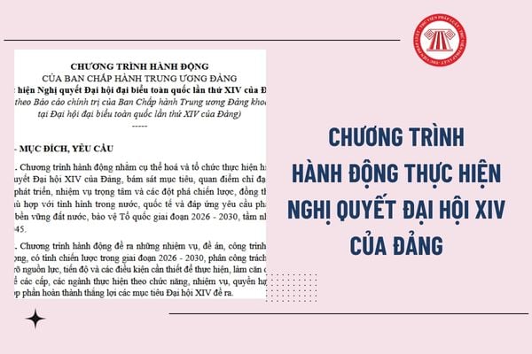 Pháp luật