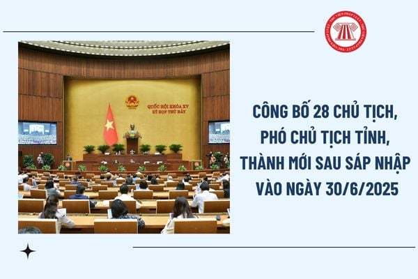 Pháp luật