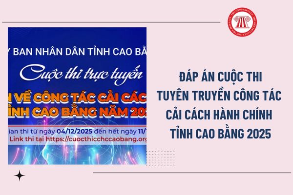 Pháp luật