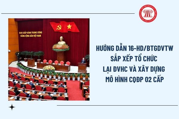 Pháp luật