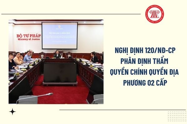 Pháp luật