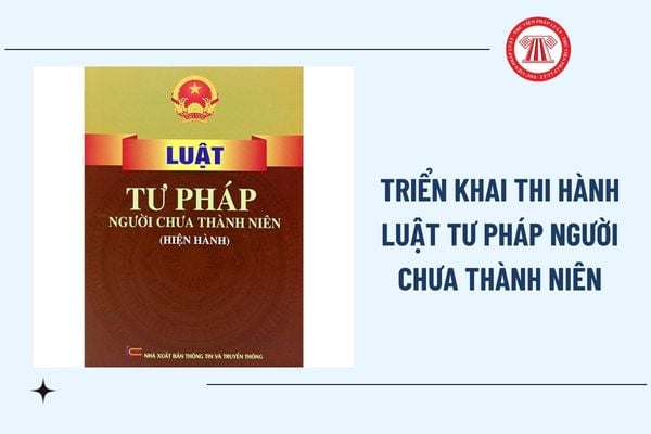Pháp luật