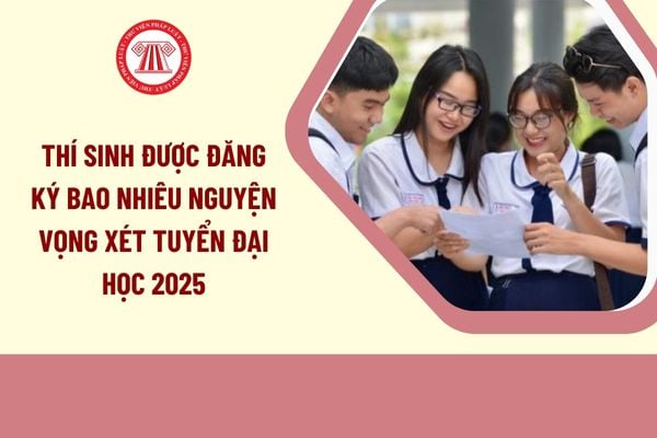 Pháp luật