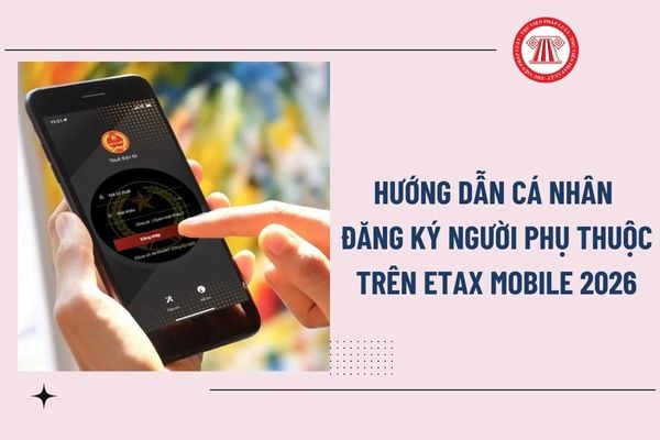 Pháp luật