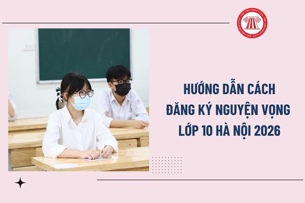 Pháp luật