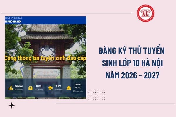 Pháp luật