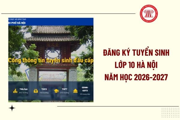 Pháp luật