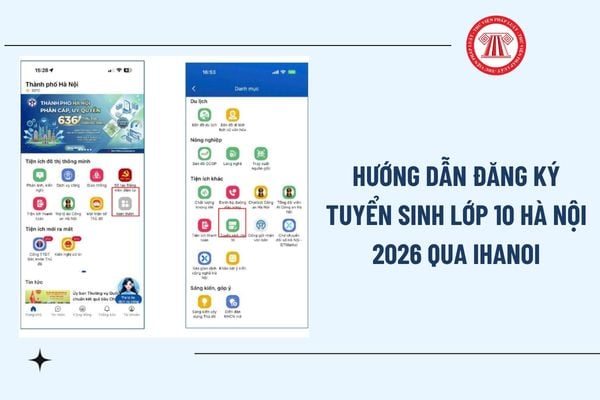 Pháp luật