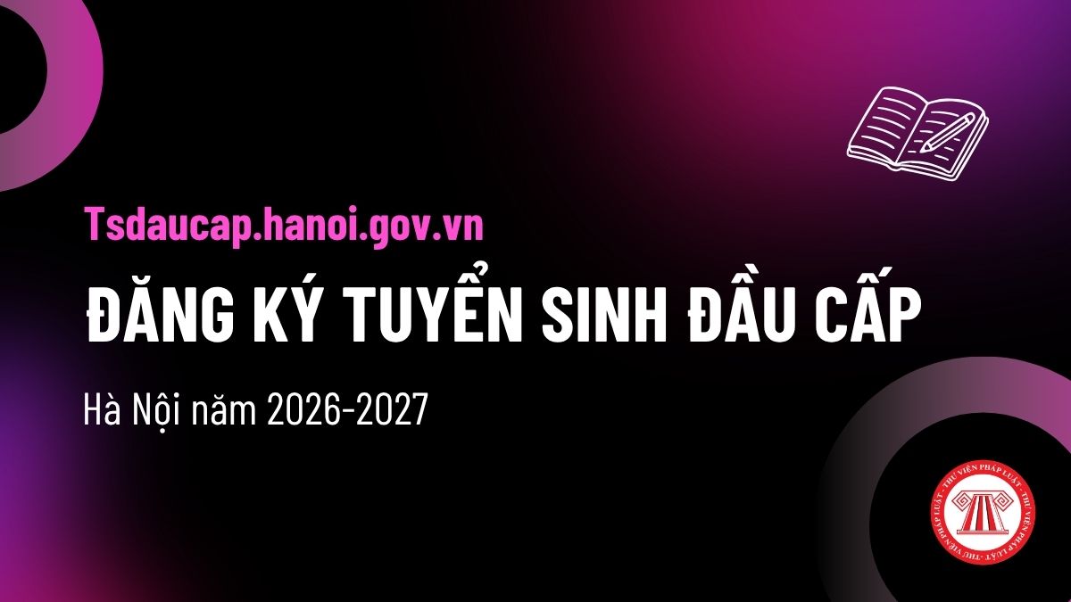 Pháp luật