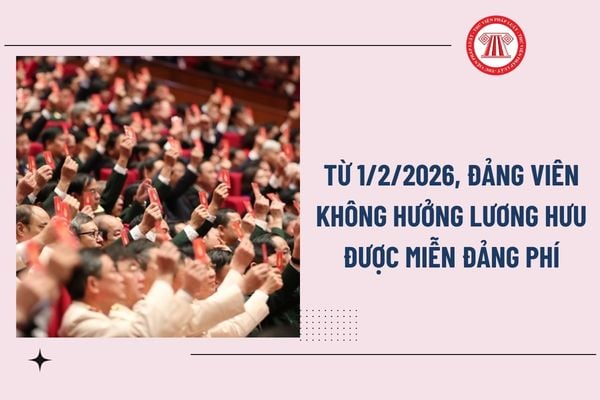 Pháp luật