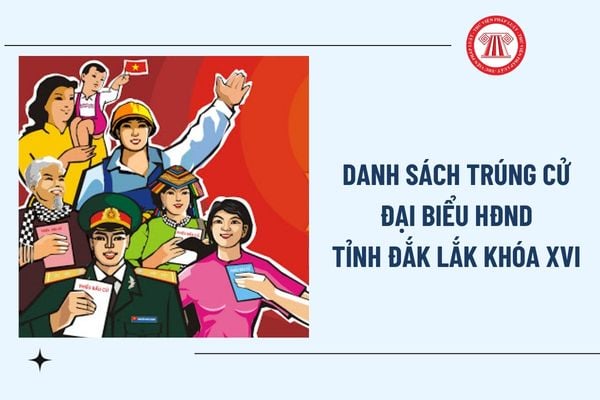 Pháp luật