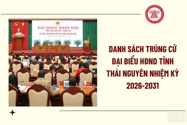 Pháp luật