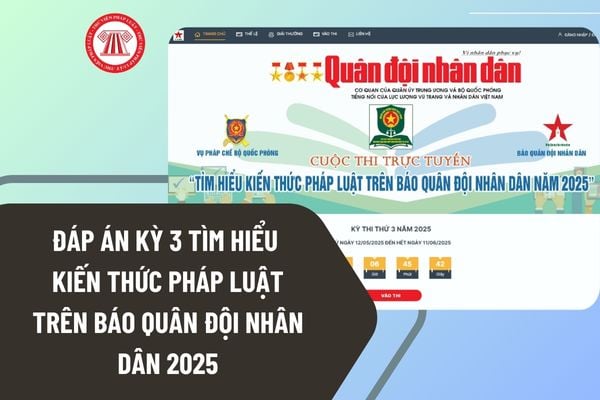 Pháp luật