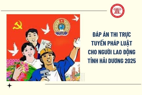 Pháp luật