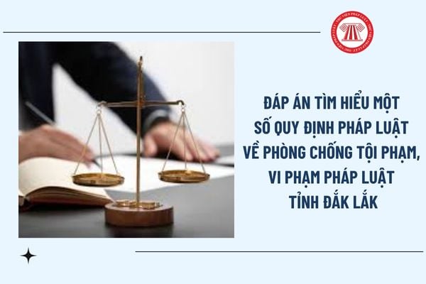 Pháp luật