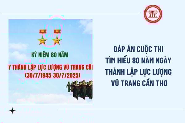 Pháp luật