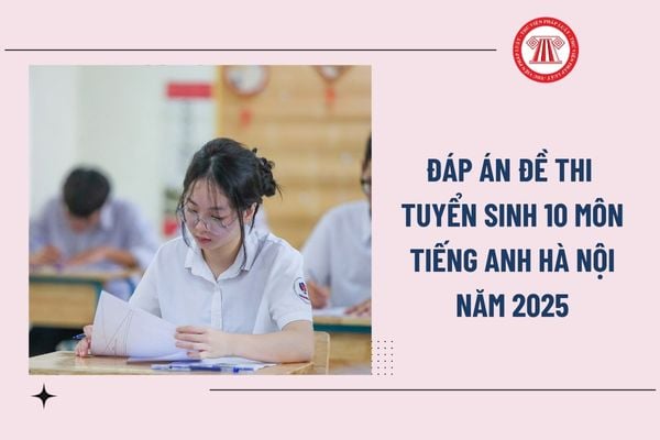 Pháp luật