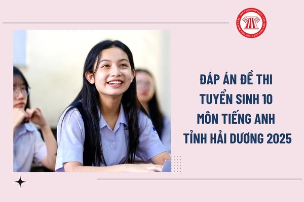 Pháp luật