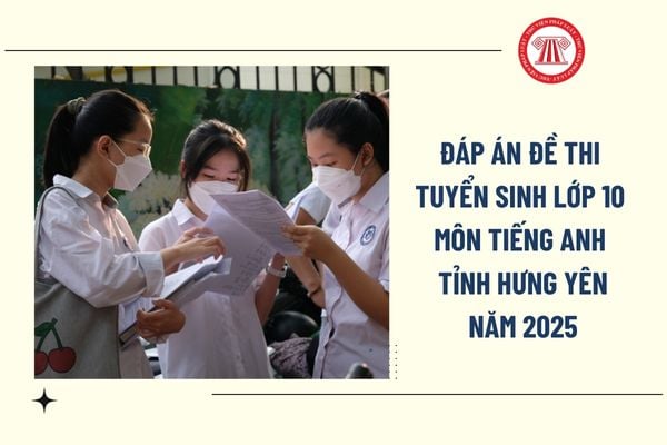 Pháp luật