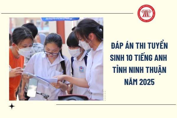 Pháp luật
