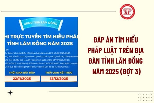 Pháp luật