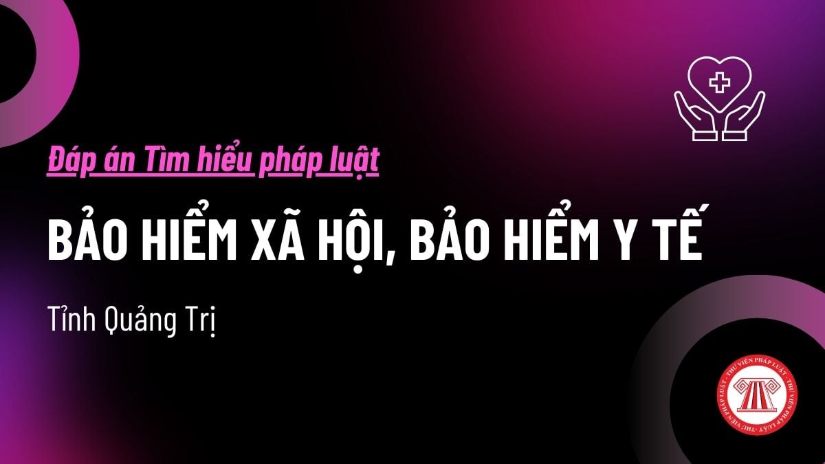Pháp luật