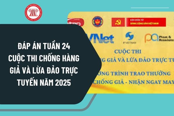 Pháp luật