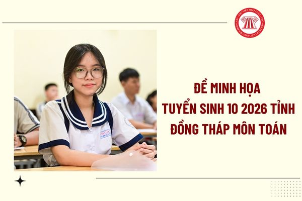 Pháp luật