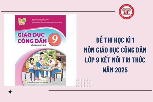 Pháp luật