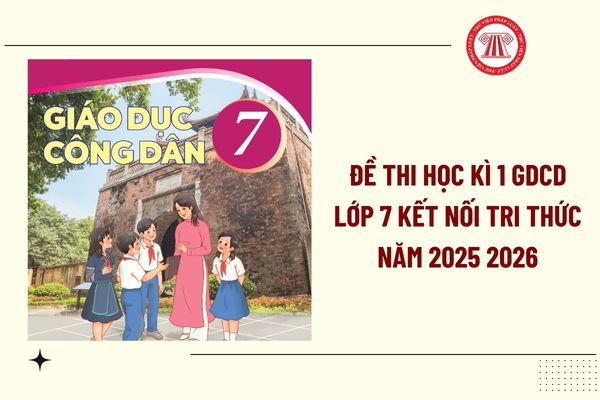 Pháp luật