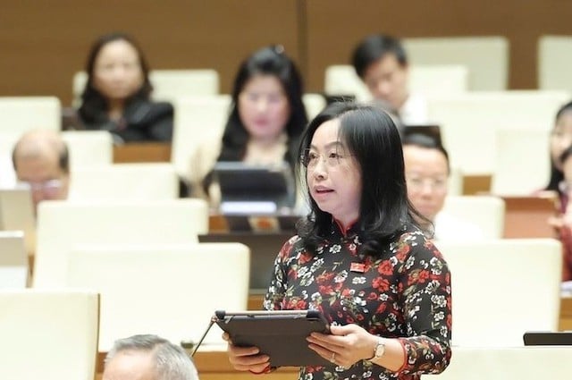 Pháp luật