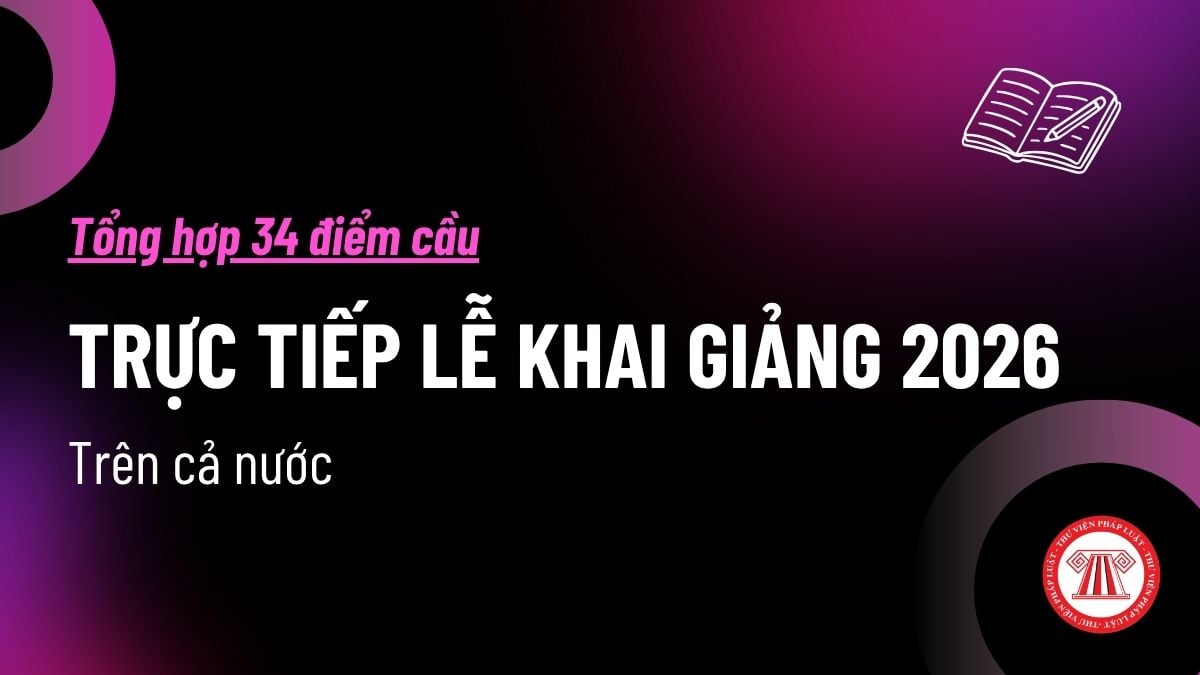Pháp luật