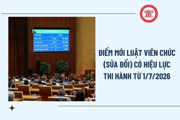 Pháp luật