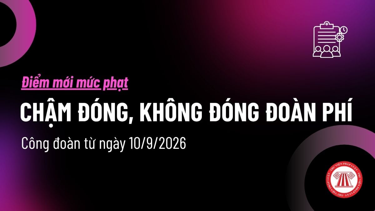 Pháp luật