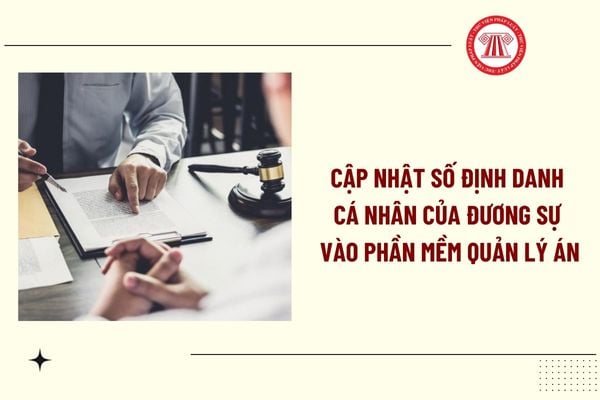 Pháp luật