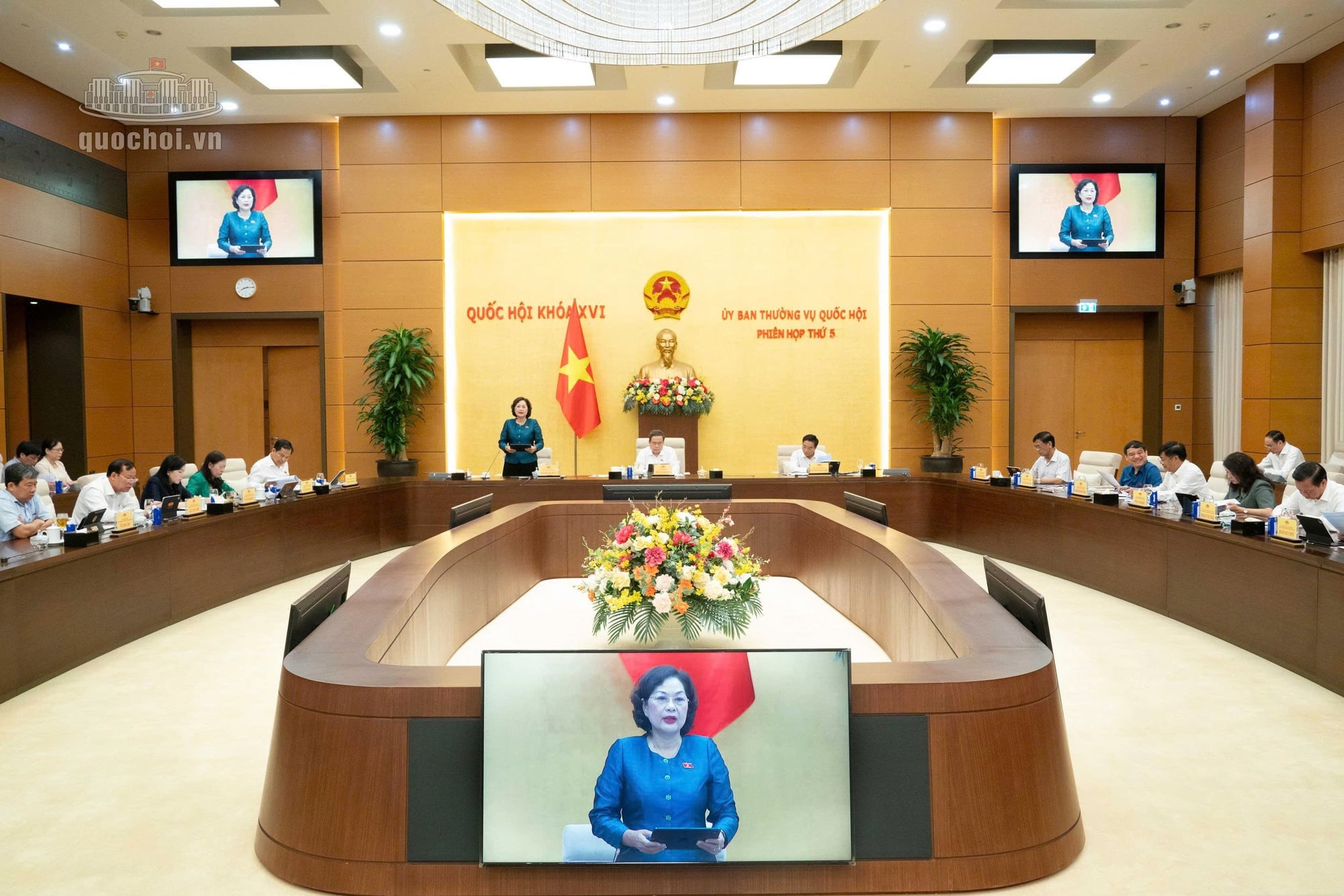 Pháp luật