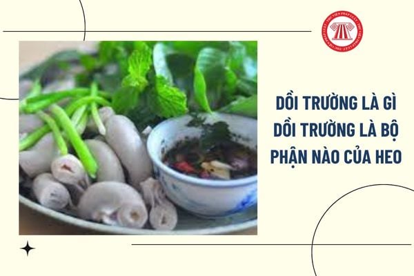 Pháp luật