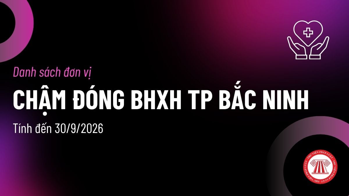 Pháp luật