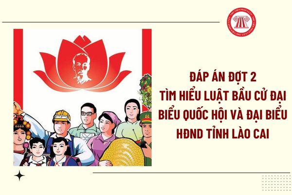 Pháp luật