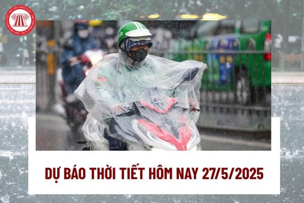 Pháp luật
