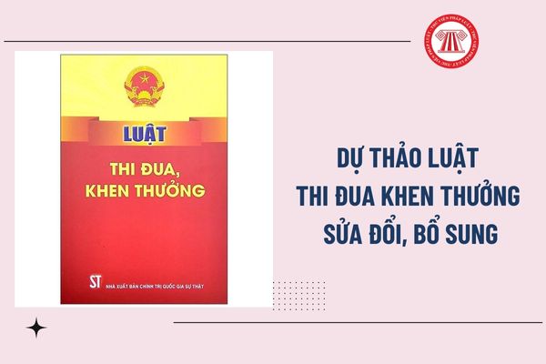 Pháp luật