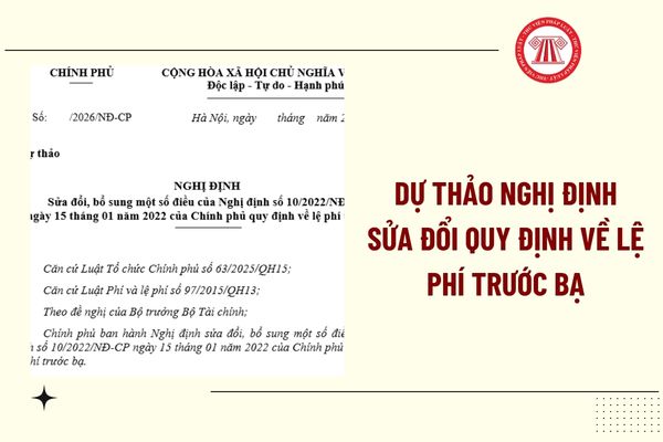 Pháp luật